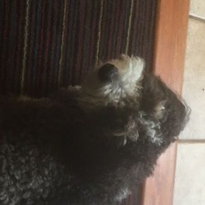 Meet your Posher, Jim